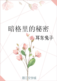暗格里的秘密